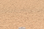 230720A-104908-02239