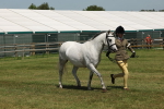 SBM_06769
