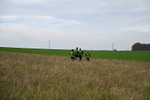 WJ7_9764