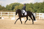 SBM_010495
