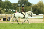 SBM_72015