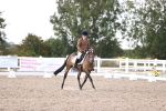 SBM_07933