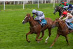 Race 3 3.00pm Clipper Handicap portfolio