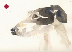 Brown Hound
