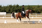 SBM_003873