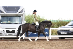SBM_00134