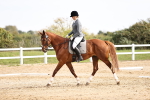 SBM_001747