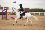 SBM_008871