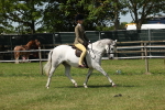 SBM_06730