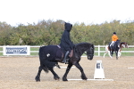 SBM_001047