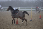 SBM_000919