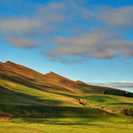 MacDonald Downs