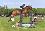 BPP_0446