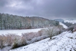 z2630 Morning Snowfall, Knightson