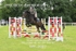 BPP_8683