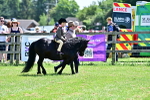 SBM_05764