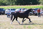 WJ6_4885