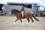 SBM_005948