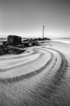 IMG_8649 v2 bw
