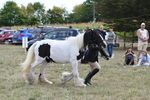 WJ6_6655