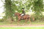 SBM_66336