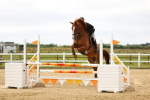 SBM_009395