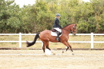 SBM_001237