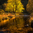 Autumn Highlights