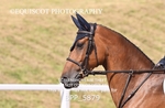 BPP_5879