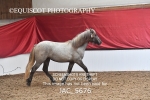 JAC_5676