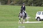 Rider 620 to 629 portfolio