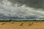 Harvest at Stradbally in County Laois