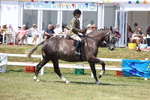 3E7A8402