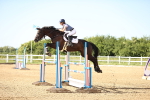 SBM_003058