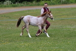 SIAL7755