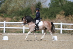 SBM_020913