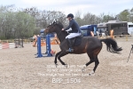 BPP_1504
