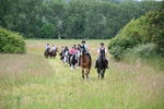 Camera 1 Gallops portfolio