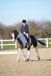 SBM_004381