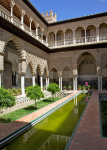 Real Alcazar 120
