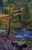 Rouken Glen, Glasgow - 2929
