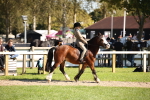 SBM_39026