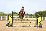 SBM_004366