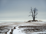 SCAPES portfolio