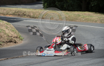 Hillclimb_02-08-2014_Kart-45