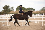 SBM_05333