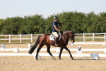 SBM_006408