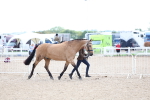 SBM_15333