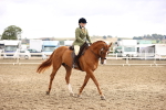 SBM_00660
