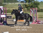 CLASS 0 Clear Round Show Jumping portfolio